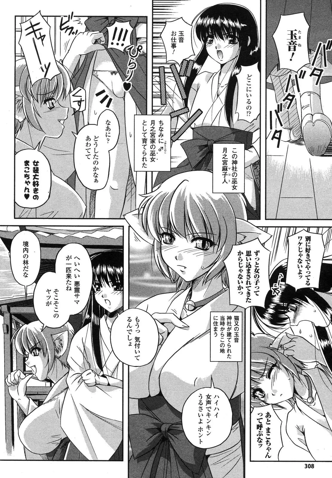 Page 312