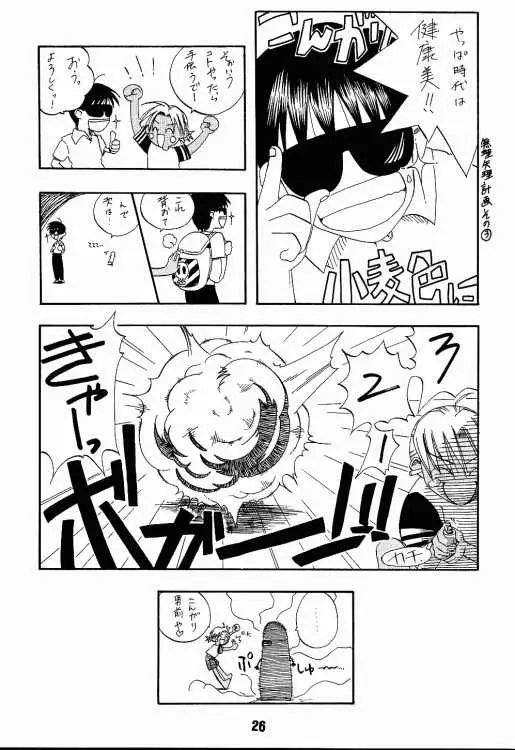 Page 25