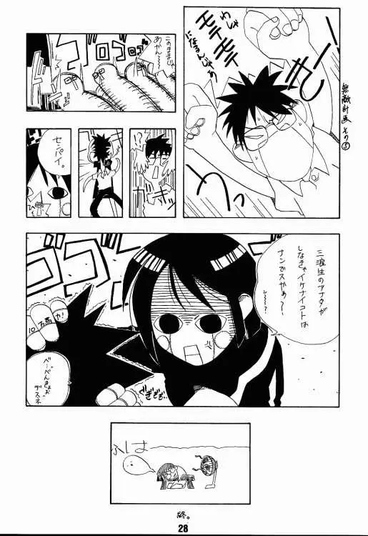 Page 27