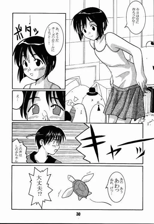 Page 29