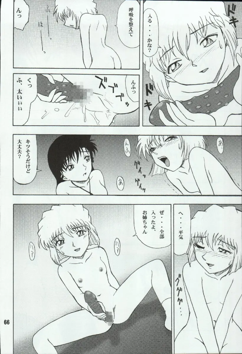 Page 66