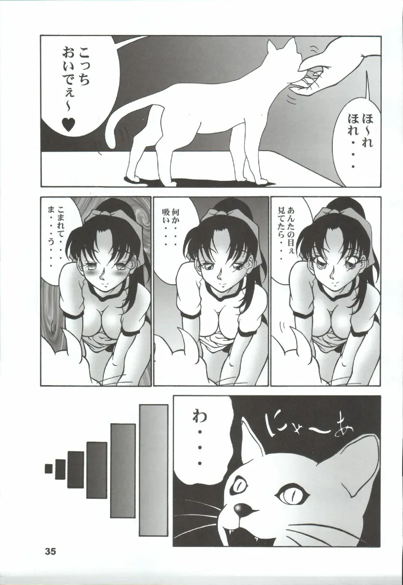 Page 35