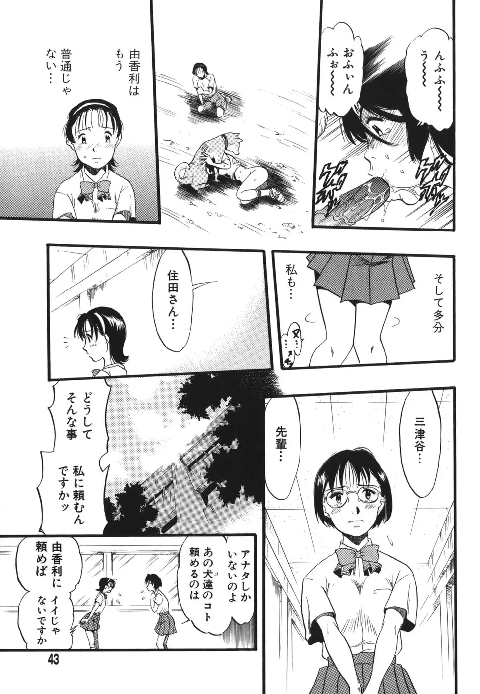 Page 43