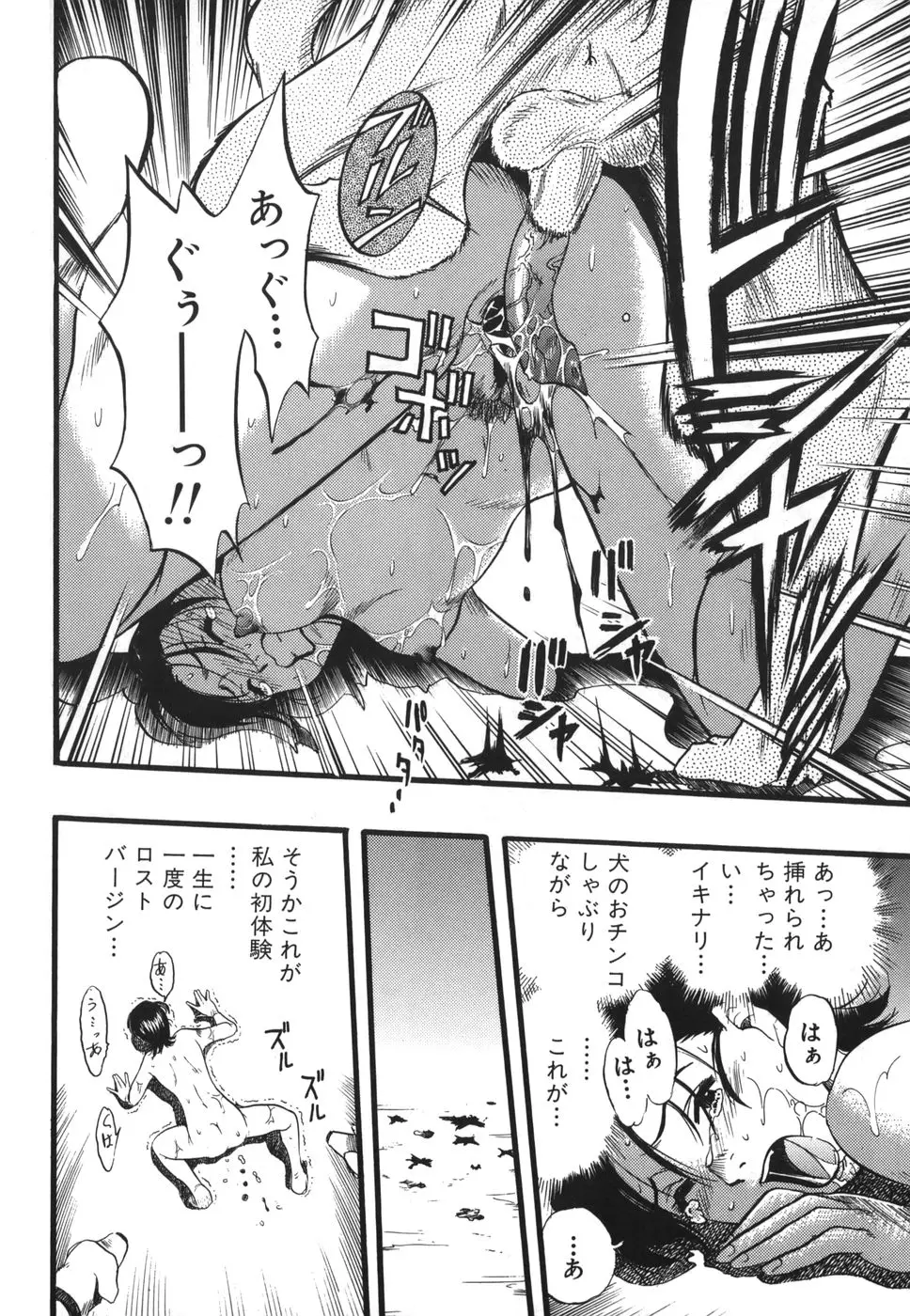 Page 64