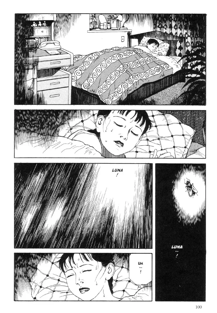 Page 101