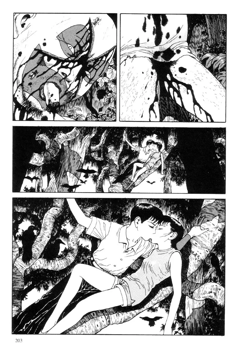 Page 204