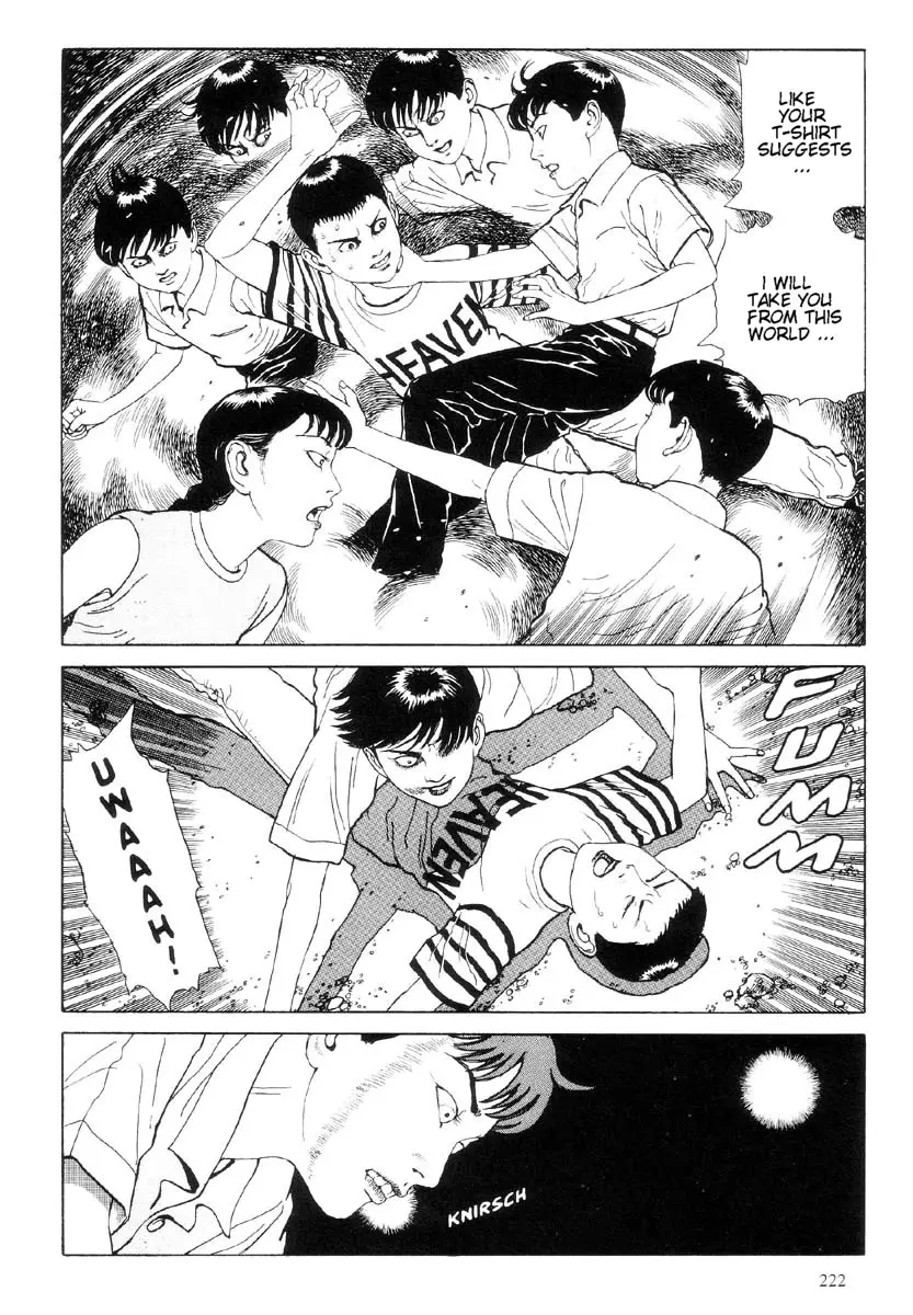 Page 223