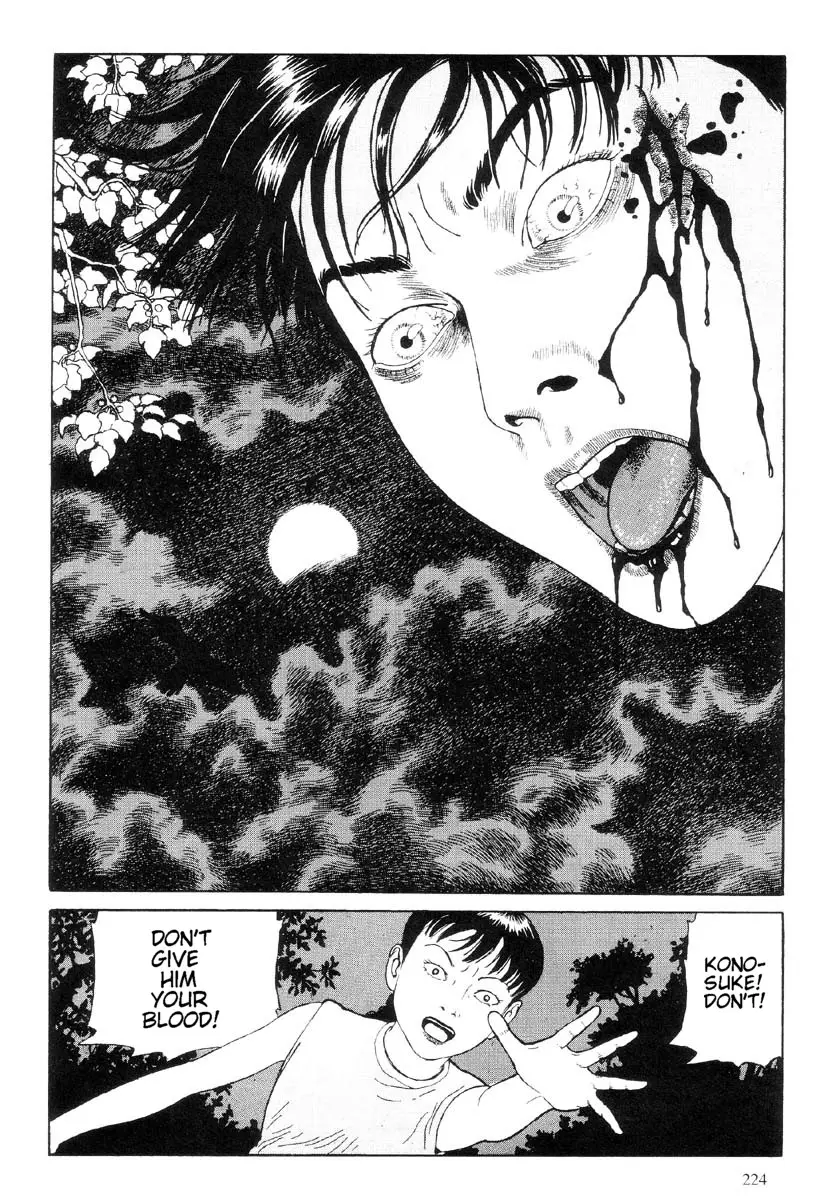 Page 225