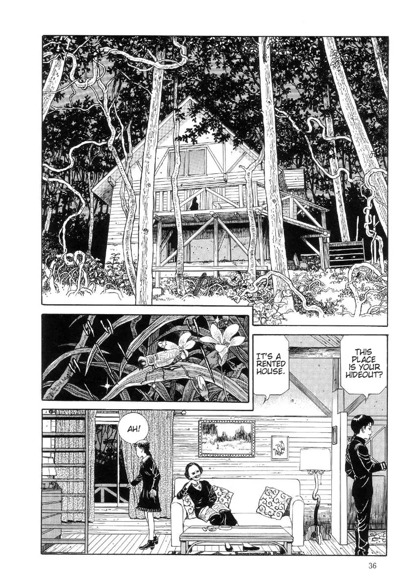 Page 41