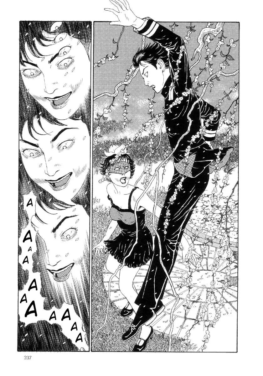 Page 240