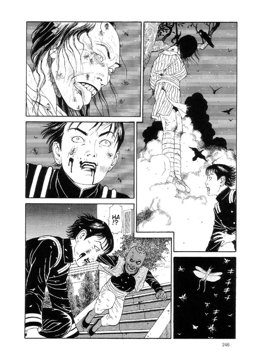 Page 247