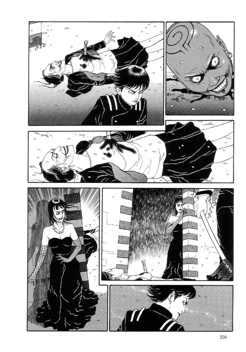 Page 251