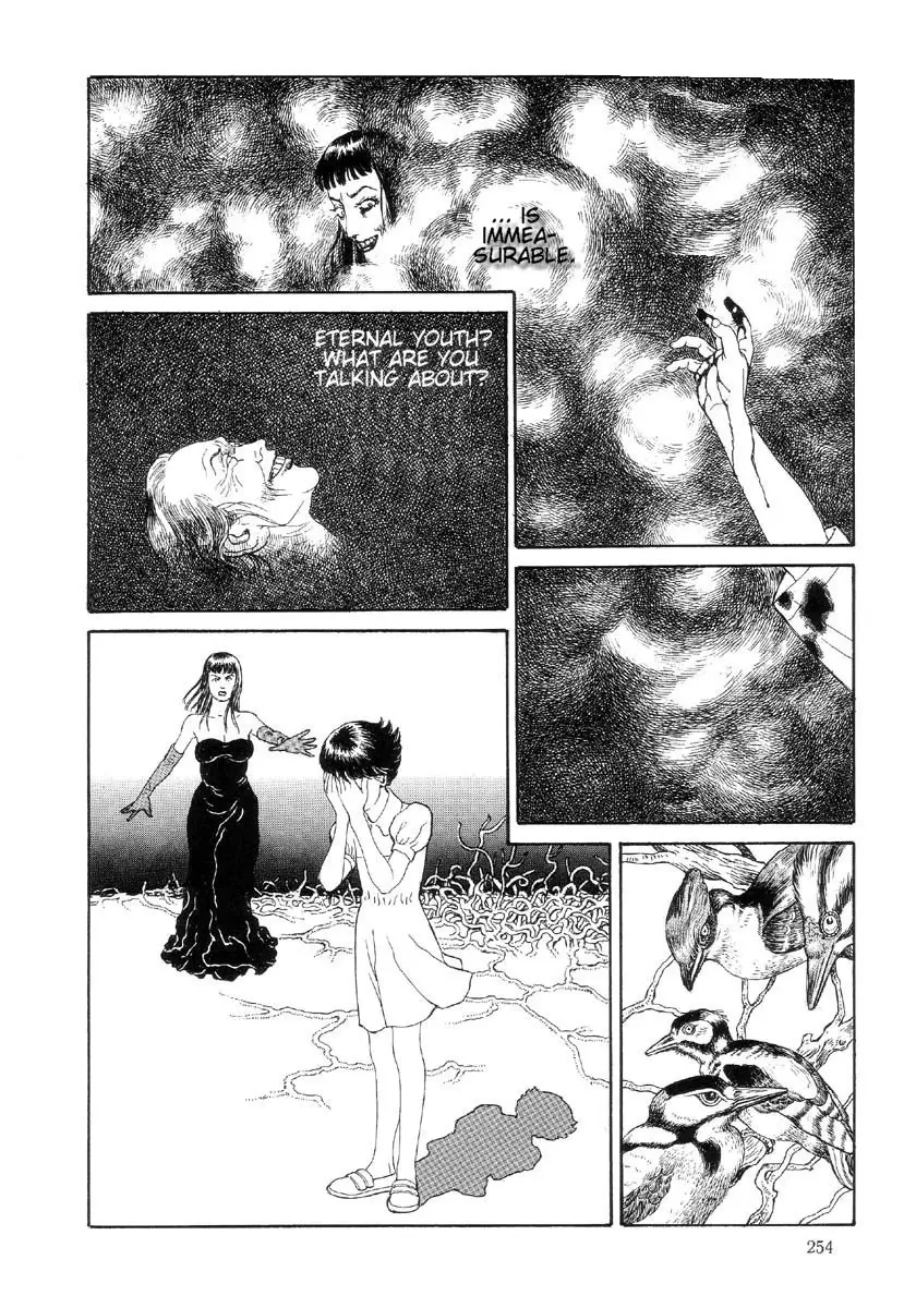 Page 255
