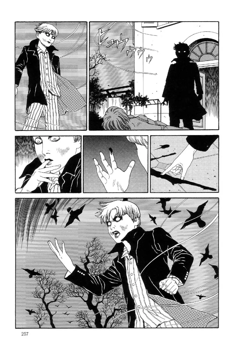 Page 258
