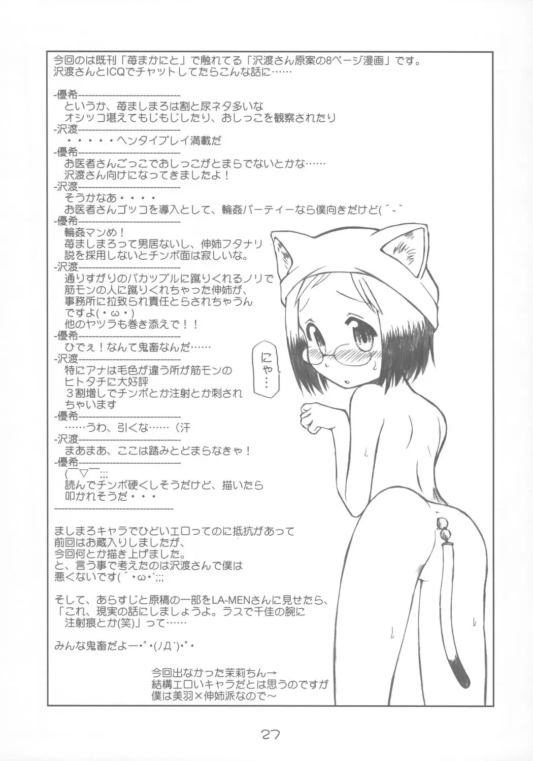 Page 26