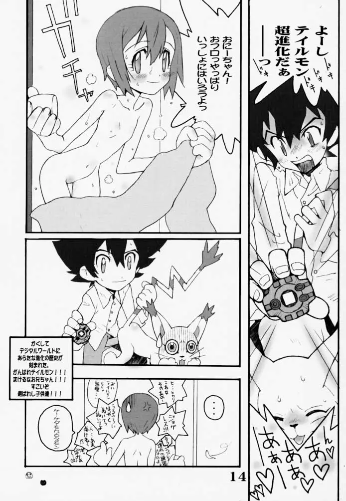 Page 13