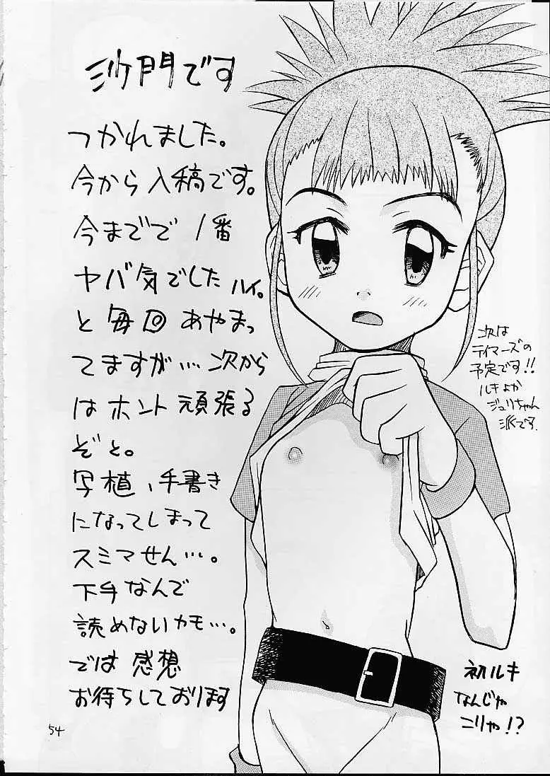 Page 53