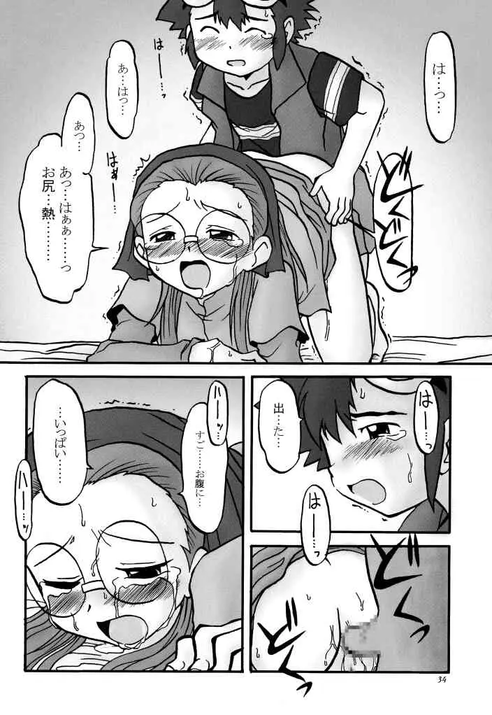 Page 33