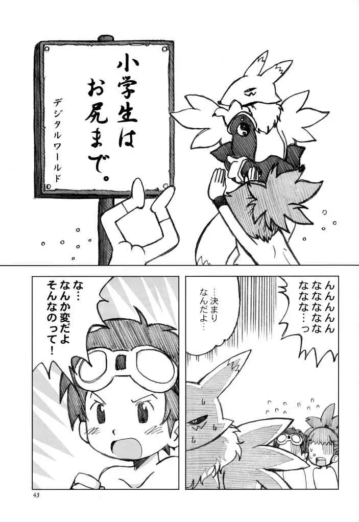 Page 42