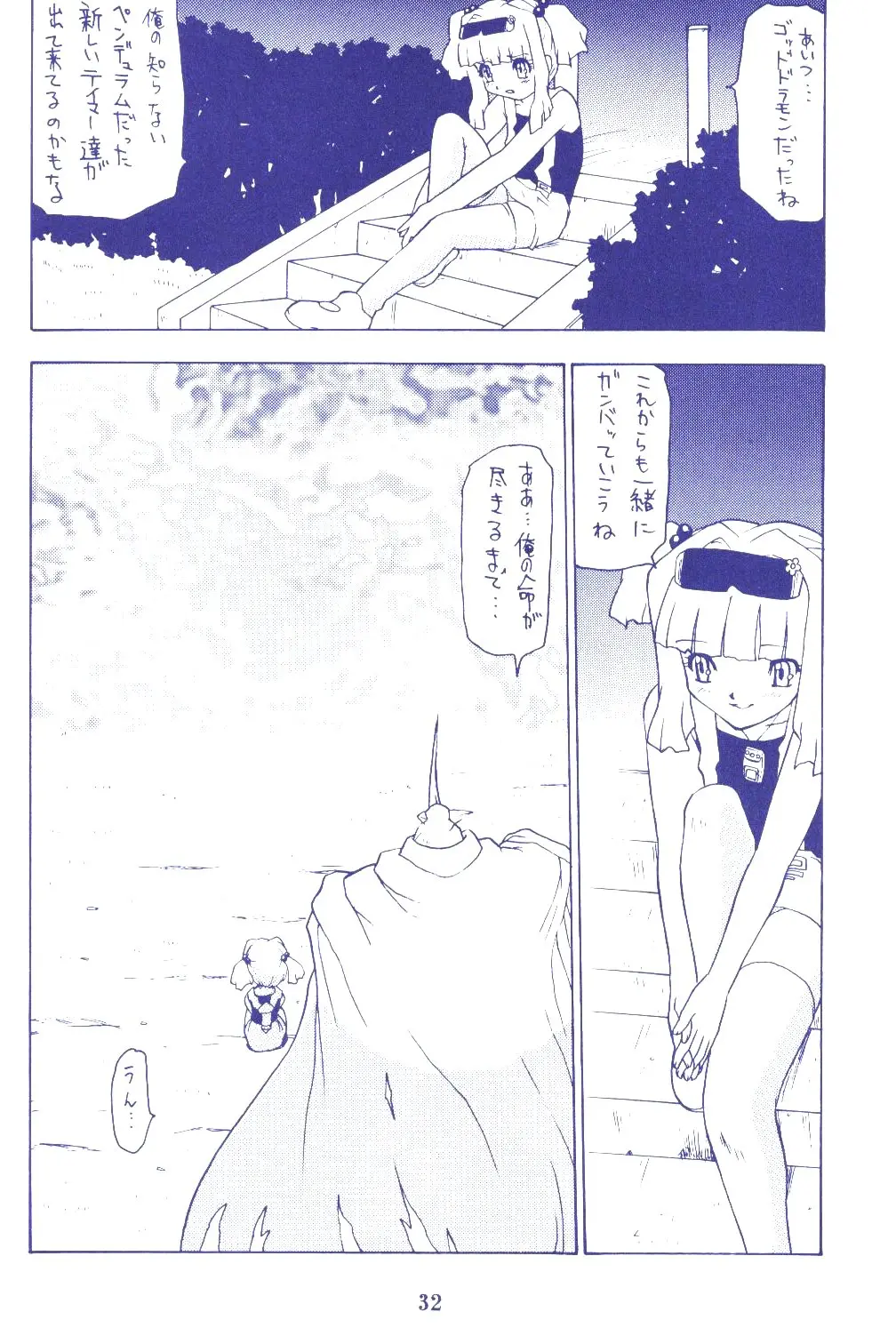 Page 31