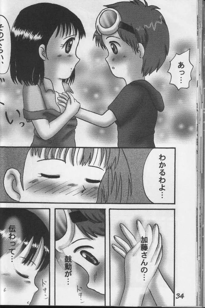 Page 33