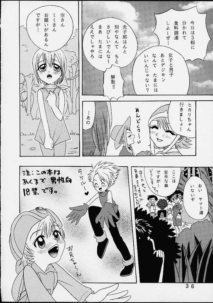 Page 35