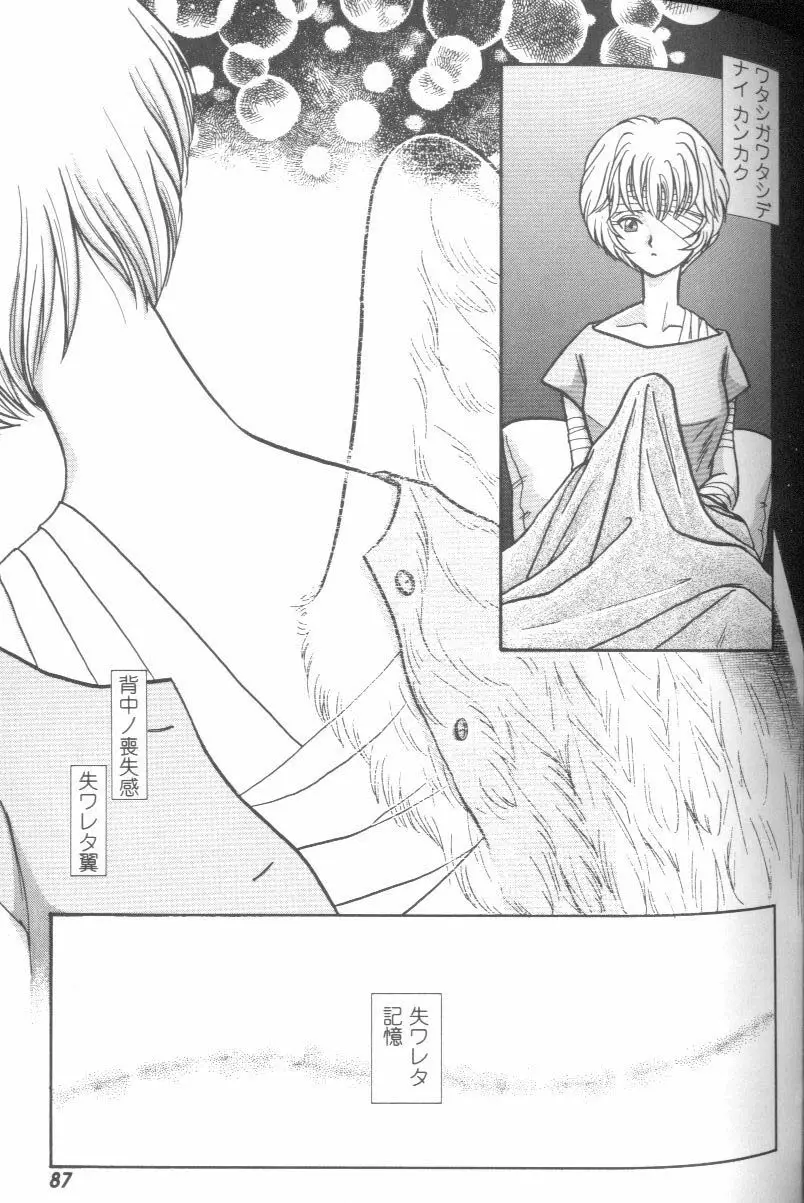 Page 86