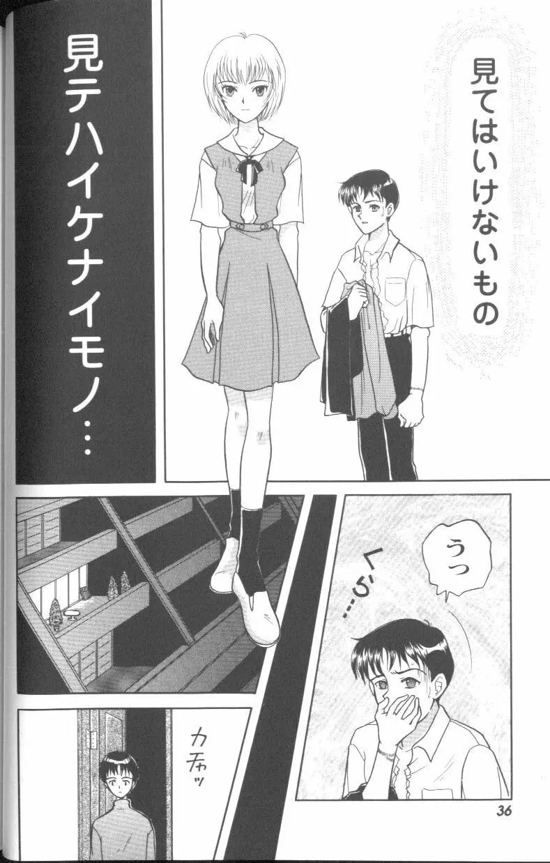 Page 36