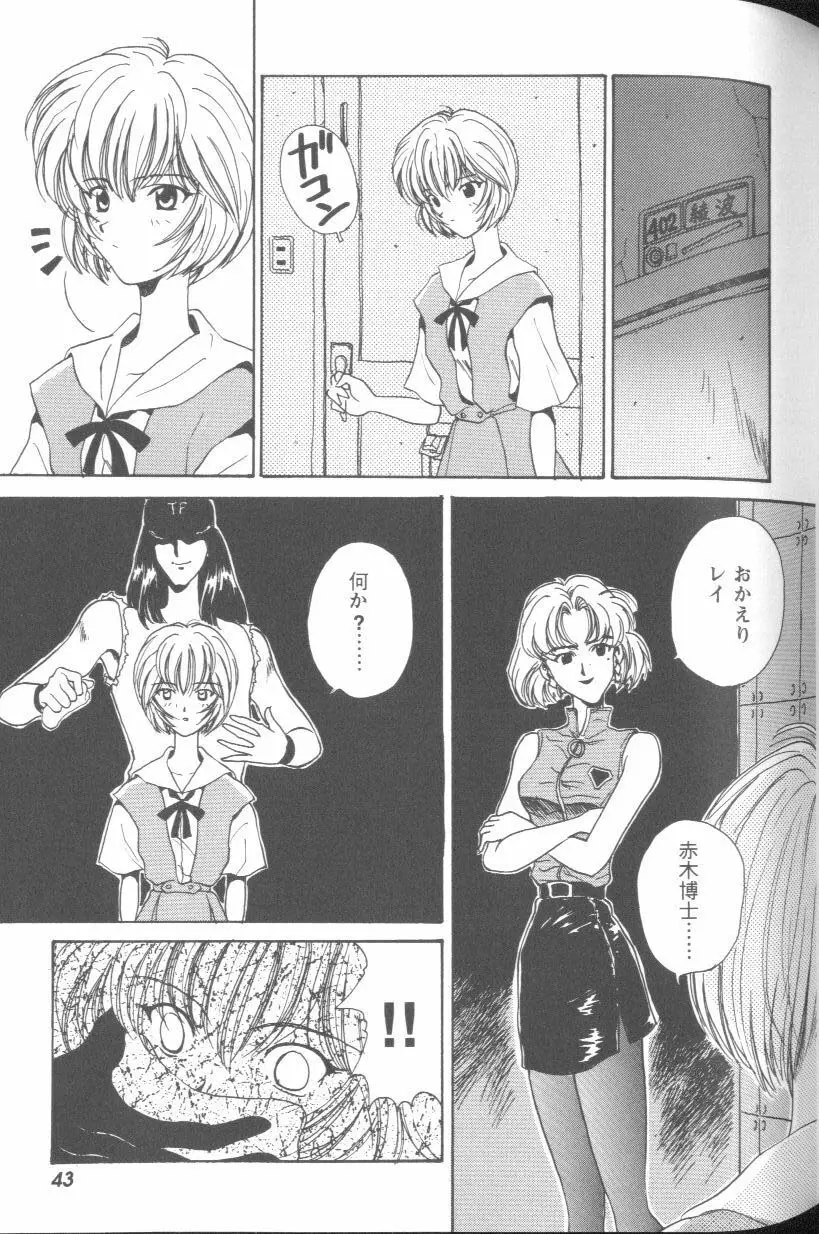 Page 43