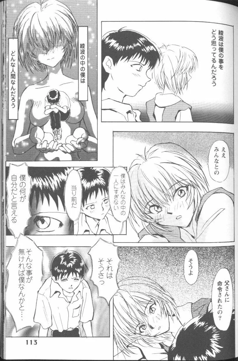 Page 113