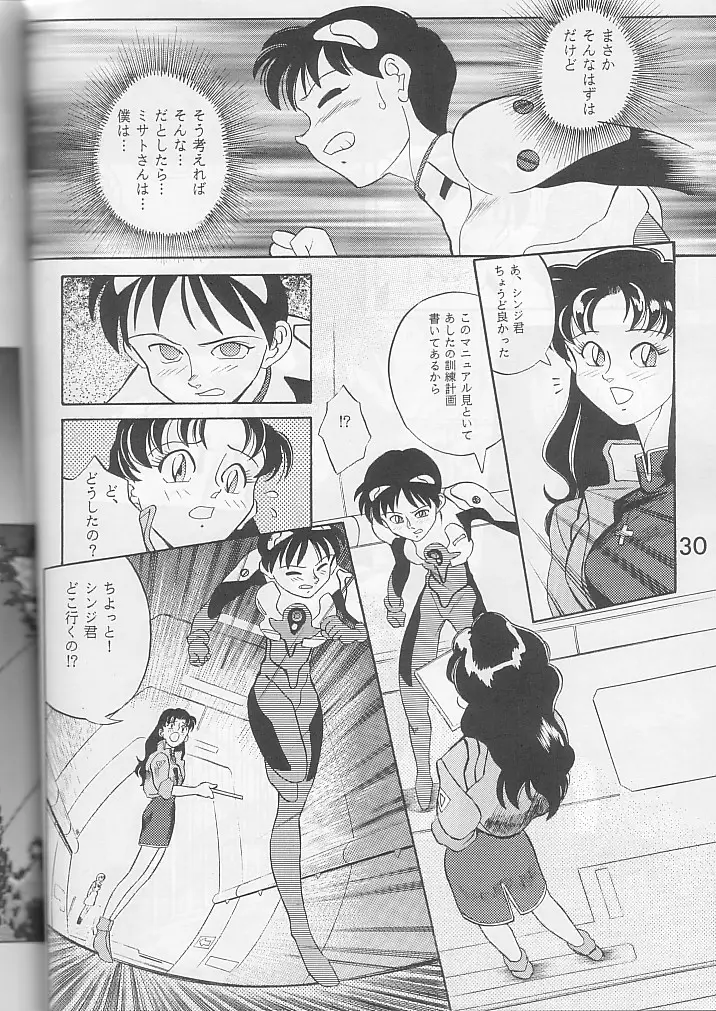 Page 29