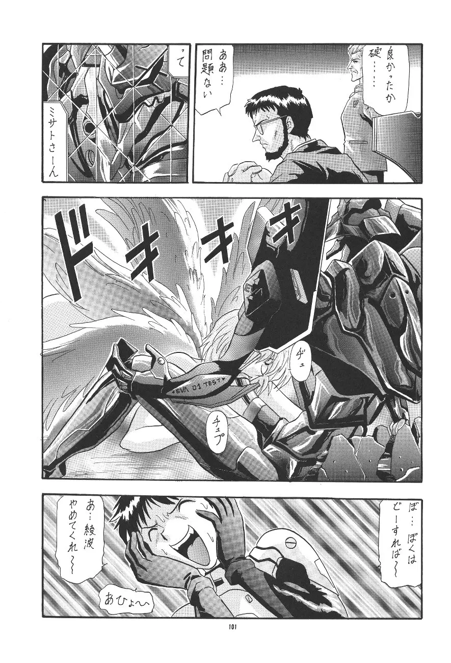 Page 101