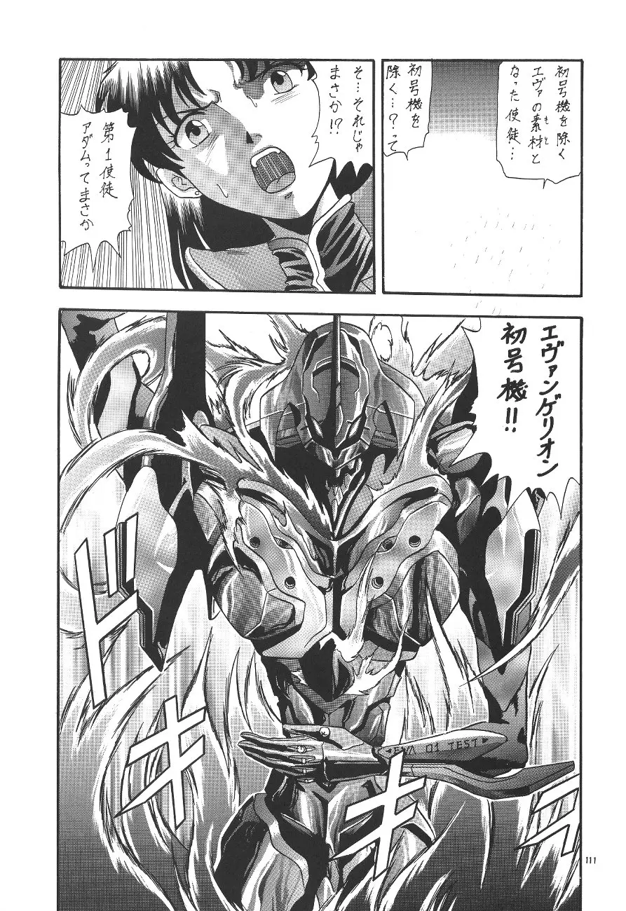 Page 111