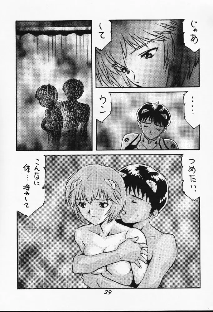 Page 29