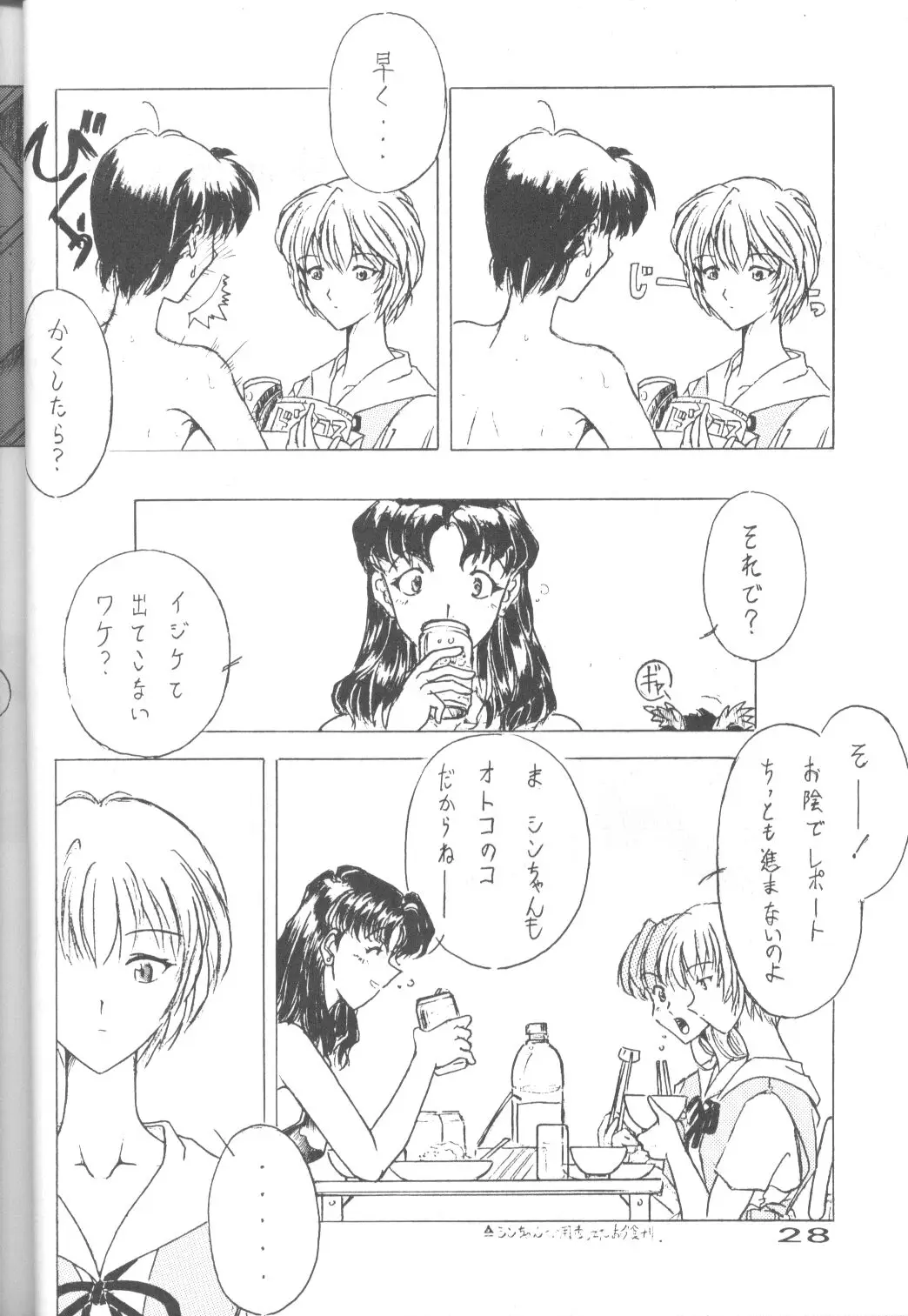 Page 27