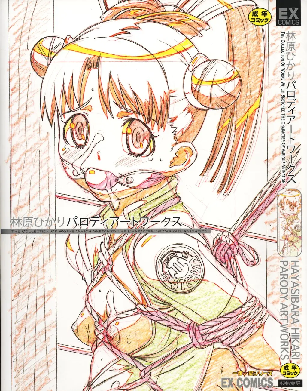 [HIKARI HAYASHIBARA] Parody Artworks