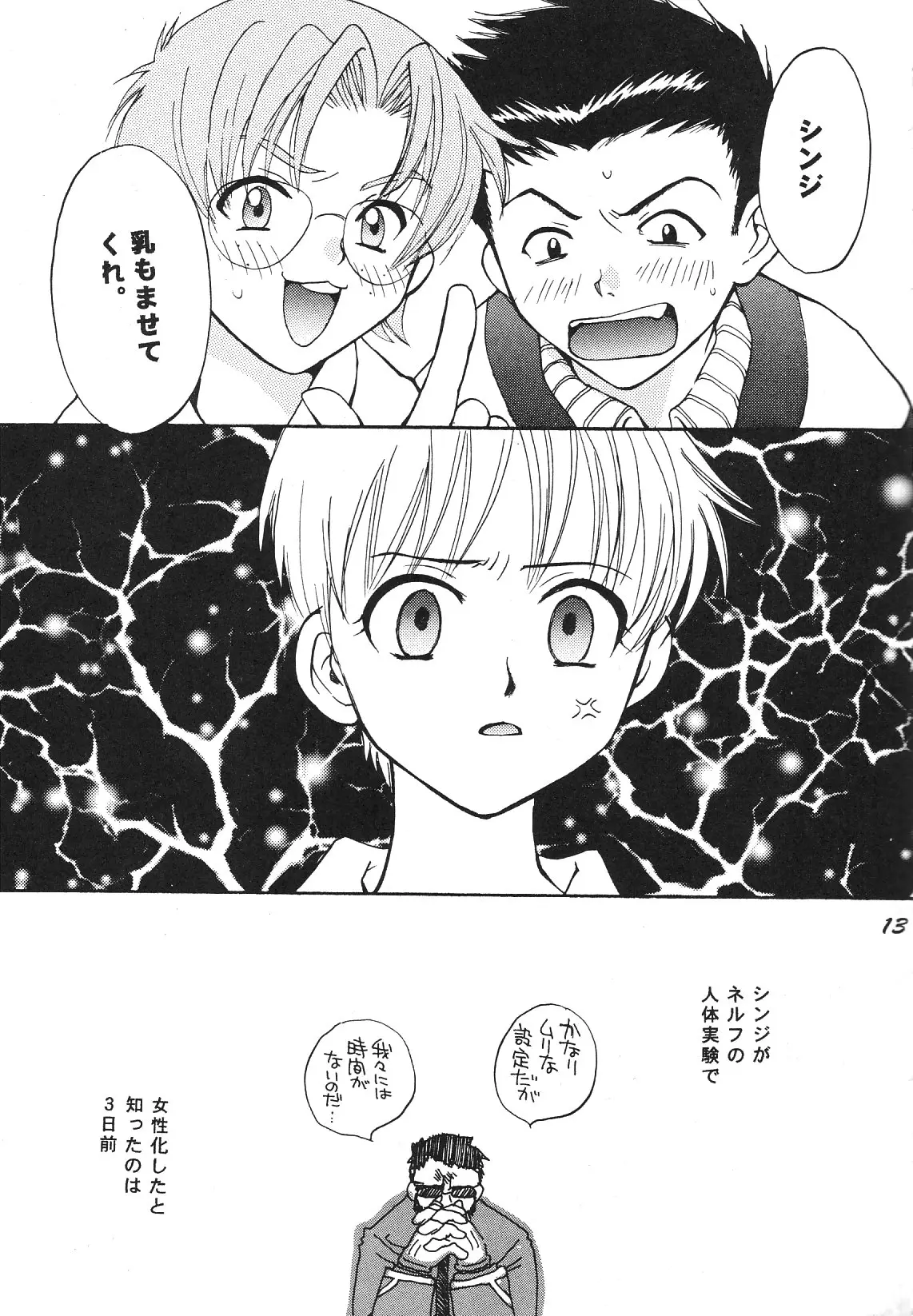 Page 13