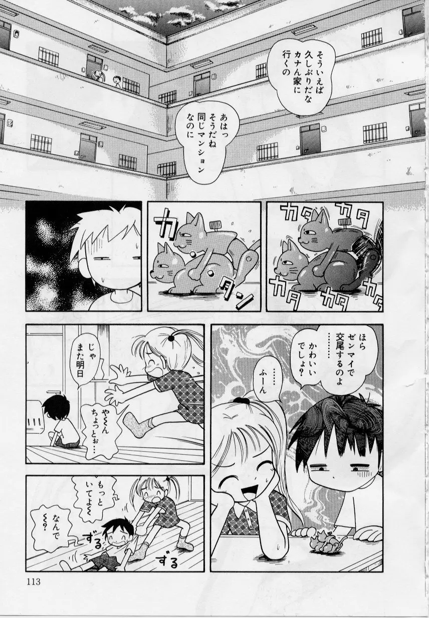 Page 111