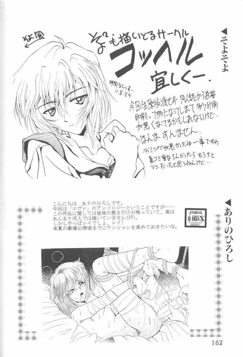Page 161
