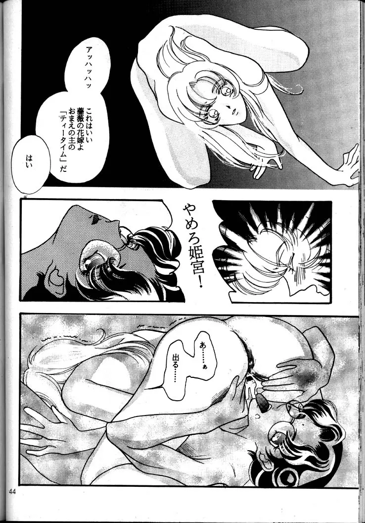 Page 43