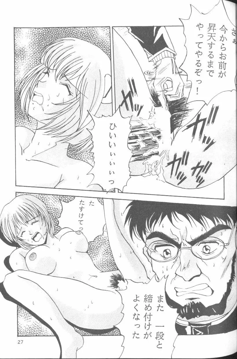 Page 27