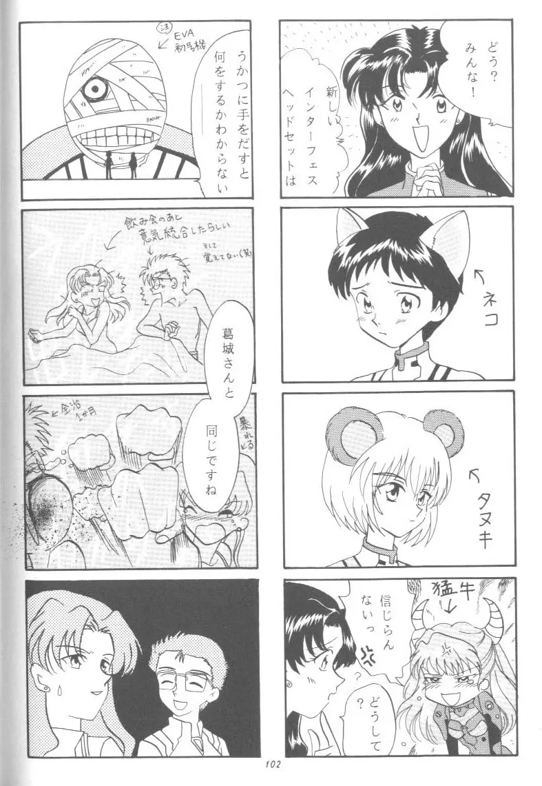 Page 102