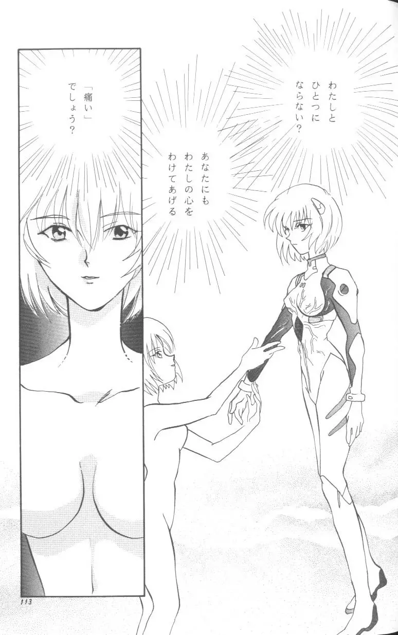 Page 113