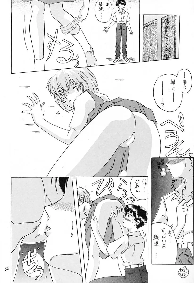 Page 29