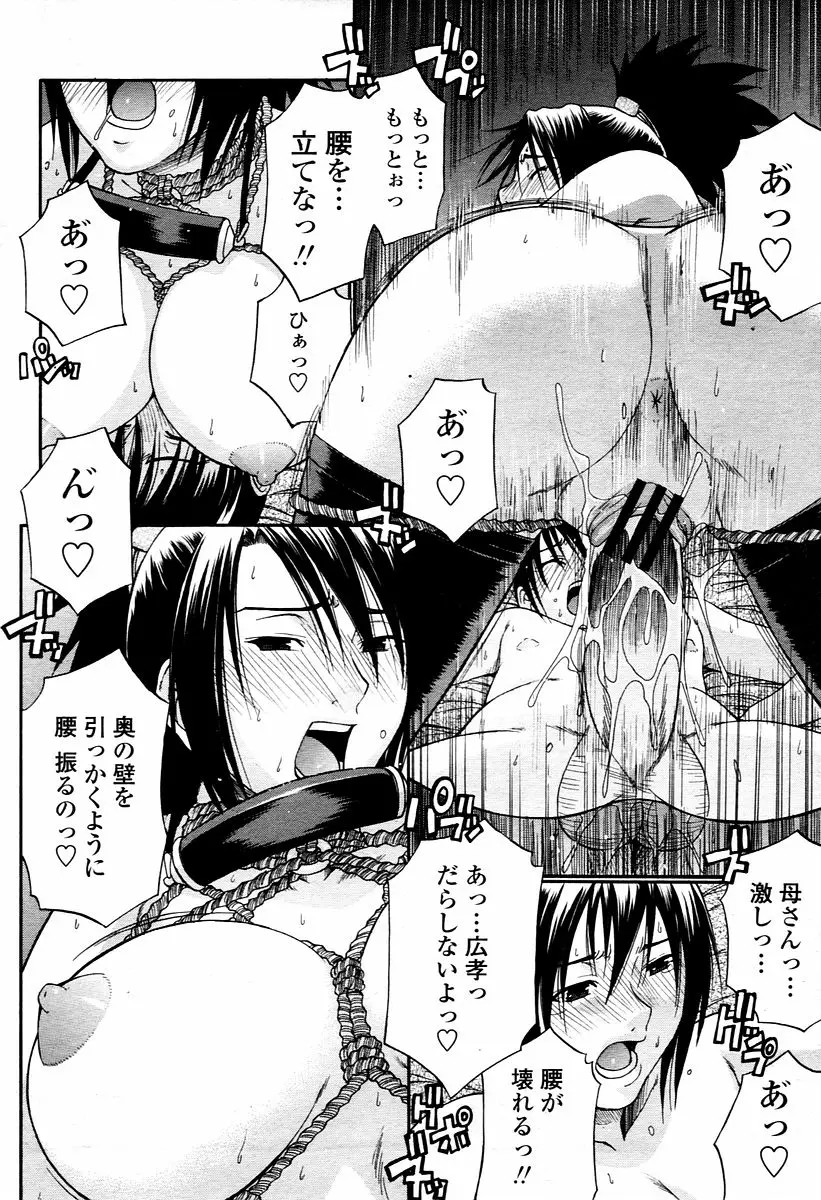 Page 262