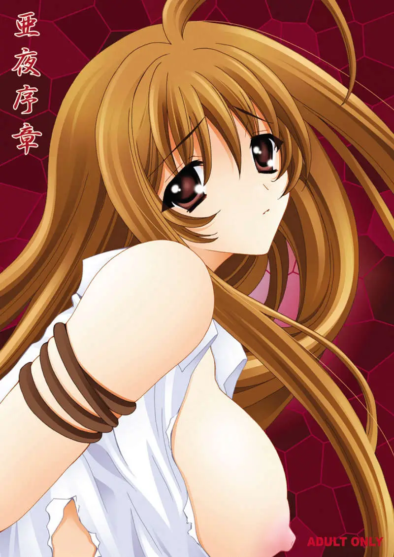 [Akiyama Production (Mikazuki Shikou)] Ayoru Joshou (Tenjou Tenge)