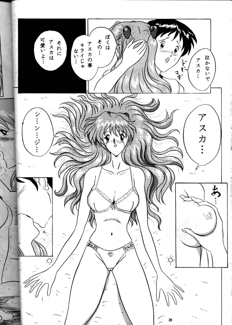 Page 27