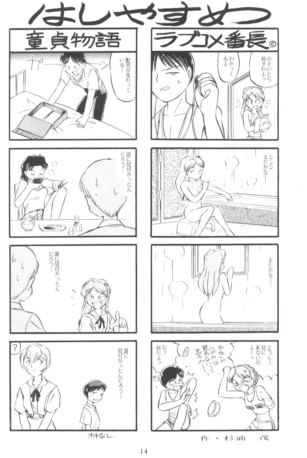 Page 13