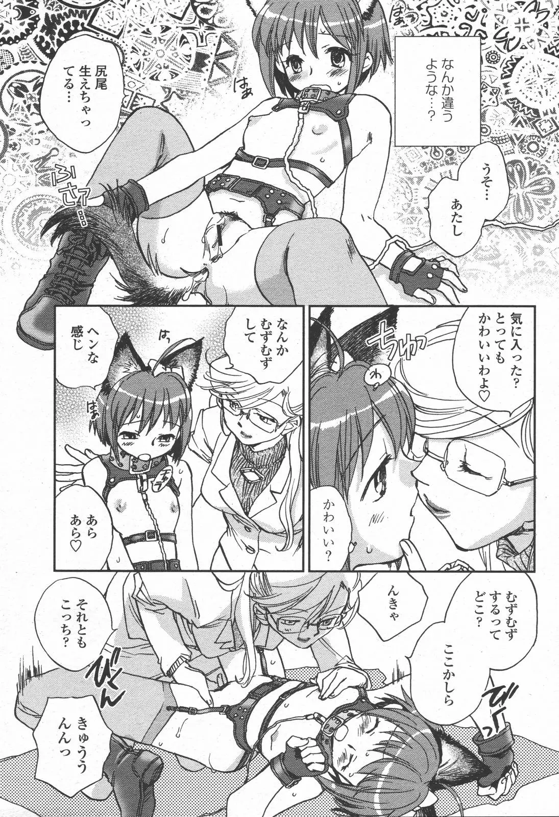 Page 261