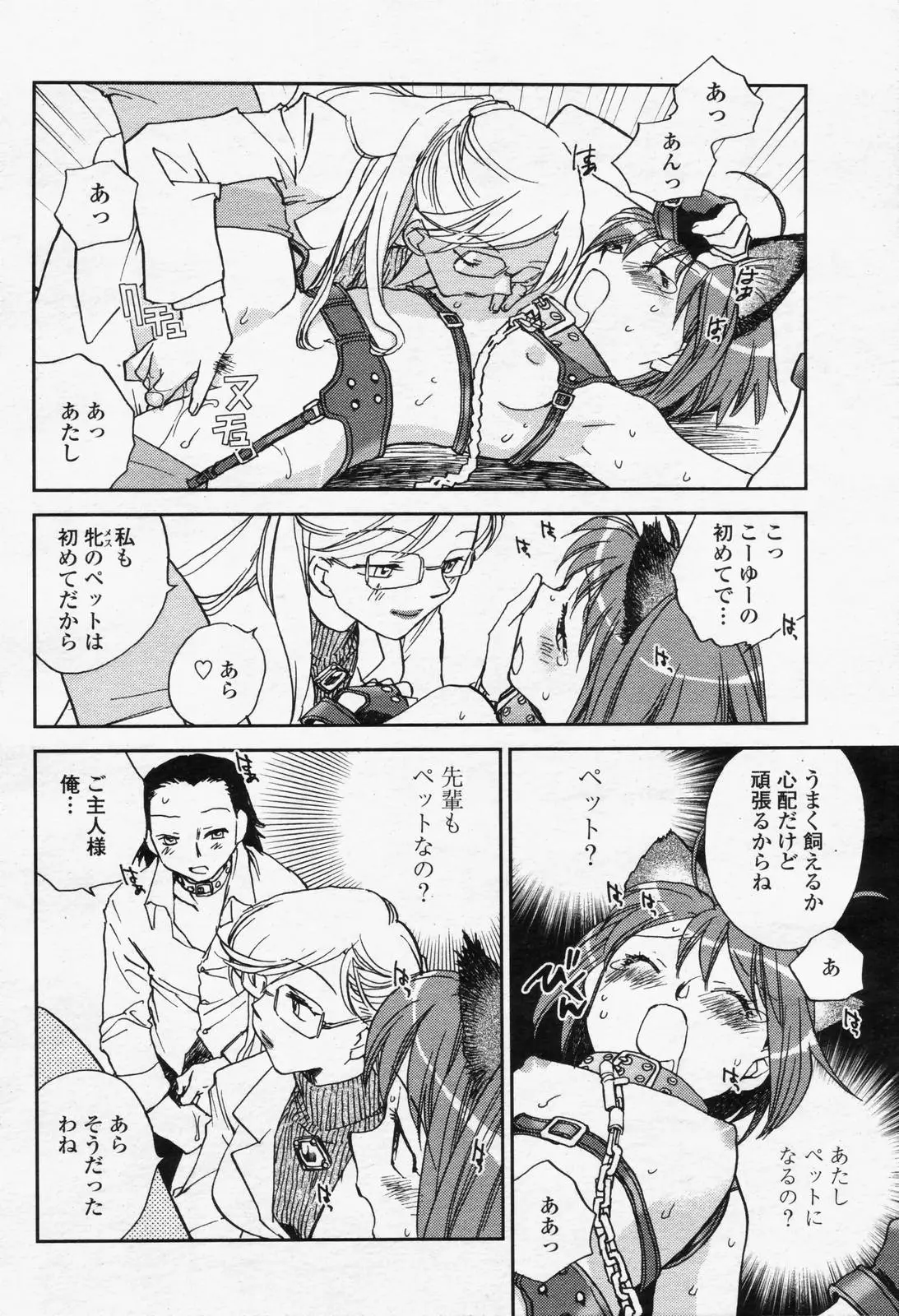 Page 262